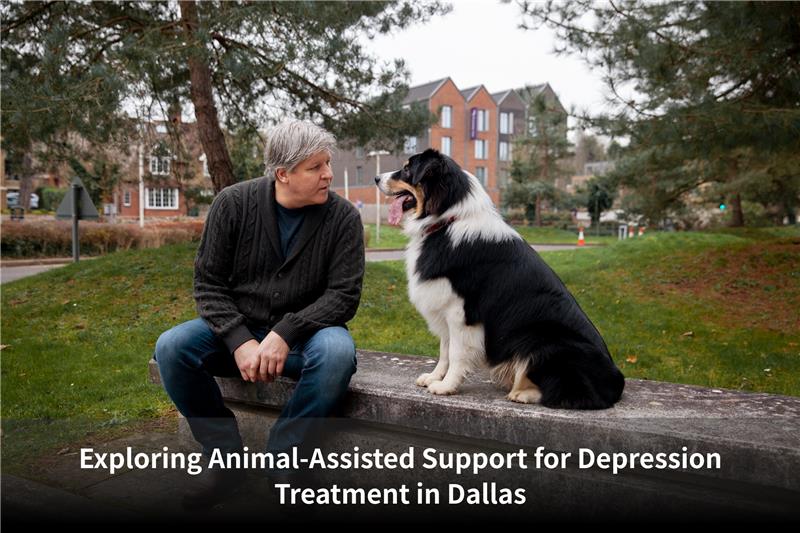 dallas mental health services